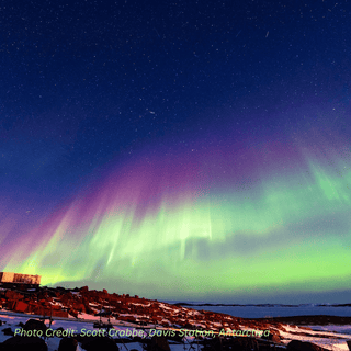 Aurora Australis Southern Lights Tea