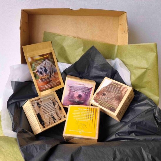 gift box wildlife original