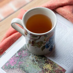 Endometriosis organic teacup